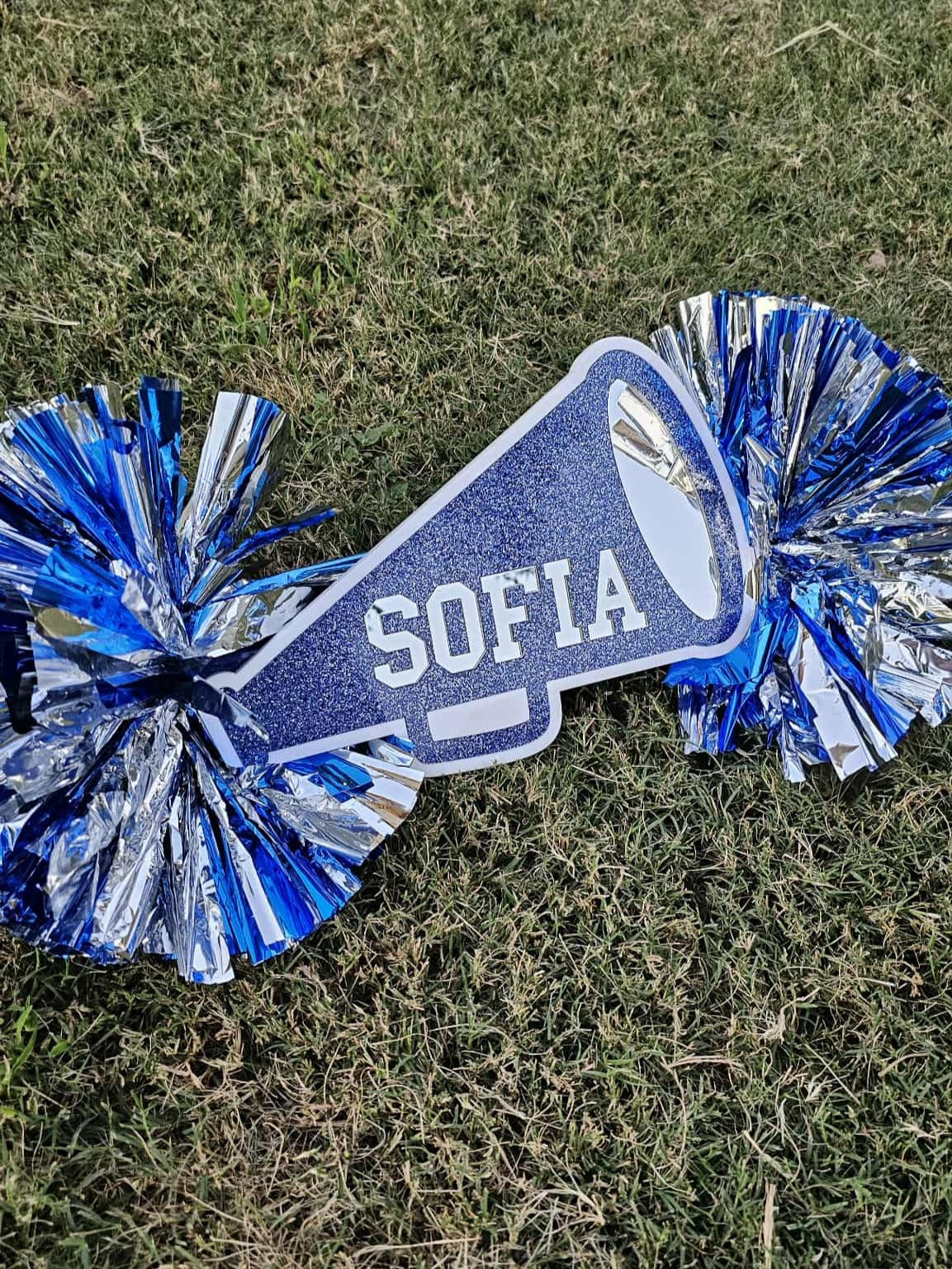 Cheer Stick - Megaphone